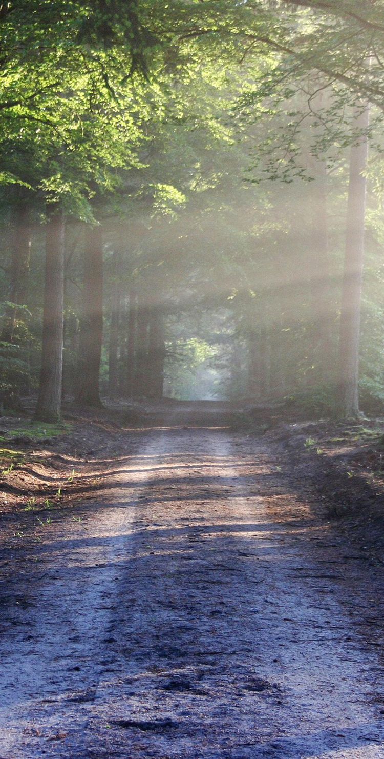 讲述健康好光的故事